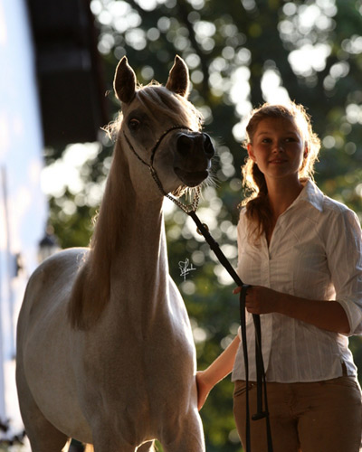 Ghazal Al Badia ( Laheeb Al Nasser x Hanaa Al Badia )